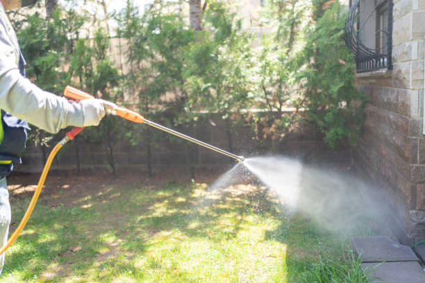 Best Fumigation Services  in Bent Creek, NC